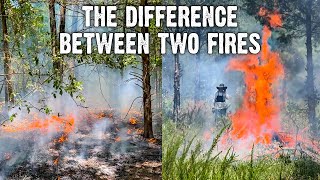 The difference between two fires  Burning cedar trees during high humidity  Fire Objectives [upl. by Astrea398]