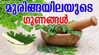 മുരിങ്ങയിലയുടെ ഗുണങ്ങൾ  Benefits Of Moringa Leaves Drumstick Leaves   MALAYALAM TASTY WORLD [upl. by Airamak744]