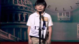 Special Boy With Freakishly Large Brain Wins Spelling Bee [upl. by Ellevart]