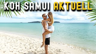 Aktuelle Lage KOH SAMUI Thailand • Februar 2024 • Chaweng Bophut amp Lamai  VLOG 616 [upl. by Aimahs]