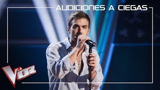 Álvaro De Luna canta La flaca  Audiciones a ciegas  La Voz Antena 3 2019 [upl. by Anialram444]