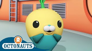 Octonauts  Saving a Small Reef  Cartoons for Kids  Underwater Sea Education [upl. by Polk]