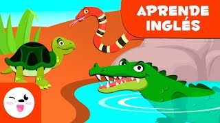 Los reptiles para niños EN INGLÉS  Animales vertebrados  Ciencias naturales para niños [upl. by Sacha]