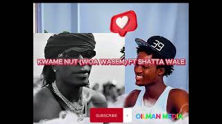 KWAME NUT FT SHATTA WALE WOA WASEM [upl. by Akcimahs884]