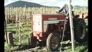 IHC McCormick 523 Werbefilm  Teil 2 von 2 [upl. by Alah867]