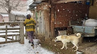 En Soğuk Dağ Köyünde Yaşam Türkiyede Kışın Köy Hayatı [upl. by Igiul115]