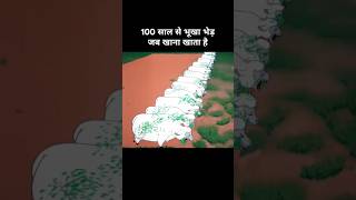 100 साल से भूखा भेड़ जब खाना खाता है 😂। Funny cartoon funny explanation memes [upl. by Anirad]