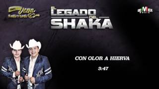 Con Olor a Hierva  Hermanos Vega Jr Audio Oficial [upl. by Nylad]