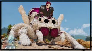 We Tame The New Cute Fluffy Jumping Spider   ARK Svartalfheim EPISODE 22 [upl. by Suoivatram]