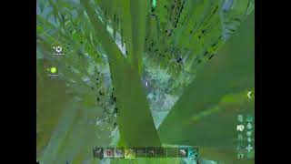 ARK Ascended NO Trees command AFTER patch [upl. by Romalda]