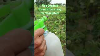 Organic Insecticidal for Vegetables  जैविक कीटनाशक  chemicalfreefarming farming organicfarming [upl. by Asoramla660]