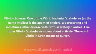 Vibrio cholerae  Medical Meaning and Pronunciation [upl. by Berga]