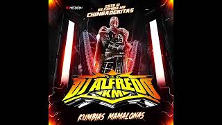 KUMBIA LAS GUITARRA DE BIN LANDEN EXCL 2024 DJ ALFREDO KM [upl. by Arrekahs]