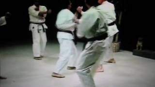 Isshinryū Seisan Bunkai [upl. by Juni]