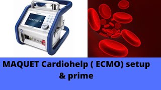 MAQUET Cardiohelp  ECMO setup amp prime [upl. by Opportina]