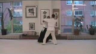 Aikido  Basic Techniques [upl. by Emeric]