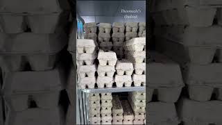 🔥💥America ல இவ்வளோ பெரிய Fridge ஆ ⁉️😮😮 Cold rooms in USA Supermarkets  Thenmozhis Outlook  Tamil [upl. by Aihsikal]