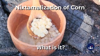 Nixtamalization of Corn What is it [upl. by Evod]