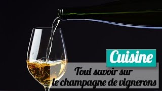 Tout savoir sur le champagne de vignerons [upl. by Adias]