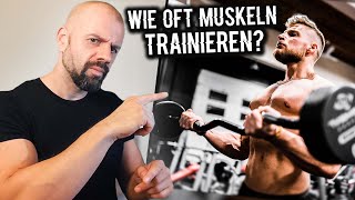 Wie oft trainieren für maximale Muskeln Muskelforscher über TrainingsFrequenz  Dr Malte Puchert [upl. by Deutsch]