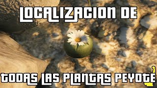 GTA V PS4 amp Xbox One  Localizacion de todas las plantas Peyote [upl. by Anaj]