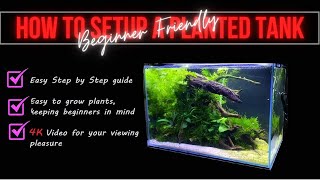 How to set up a planted tank using easy to grow Epiphyte plants [upl. by Monda]