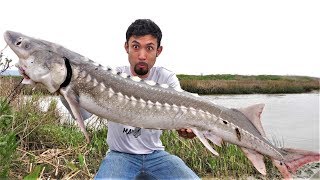 Once in a LIFETIME Catch and Cook White Sturgeon [upl. by Huberty]