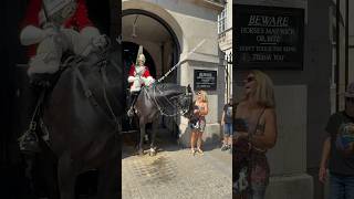 quotRoyal Horses Hilarious Pranks A Whimsical Adventure in Londons Horse Guard Paradequot Shorts [upl. by Eddana]