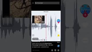 Squashed banana glitch meme credit to AudioStretcherExE on TikTok [upl. by Nrubyar]