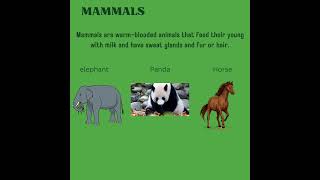 Classification Of AnimalsvertebratesNCERTPlus Two Biologybiology cbse puc class11NEET [upl. by Portwin]