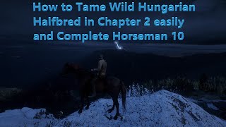 How to find Wild Hungarian Halfbred easily and complete Horseman 10 in Chapter 2 [upl. by Allen]