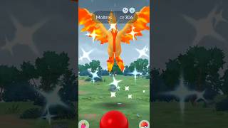 🤯😲worlds first SHINY GALARIAN MOLTRES caught in pokemon go [upl. by Nickles]