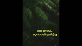 Oru mazhayum thorathirunnittilla malayalamchristiansongswithlyrics malayalamchristianstatus [upl. by Behre275]