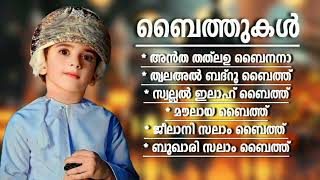 മാനവരാശിക്ക് ഇഷ്ട്ടപ്പെട്ട ബൈത്തുകൾ Islamic Baithukal [upl. by Eintirb]