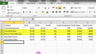 Microsoft Excel Tutorial A Basic Introduction [upl. by Eninnej]