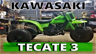 What Did I buy Tecate 3 wheeler kxt 250 [upl. by Isaak982]