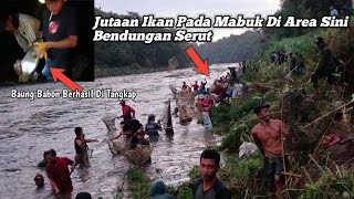 BERTARUH NYAW4 DEMI IKAN GRATISS ‼️ Beginilah Proses Warga Menangkap Ikan Mabuk Di Bendungan Serut [upl. by Hi165]