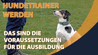 Hundetrainer werden  das sind die Voraussetzungen für die Ausbildung [upl. by Anwaf]