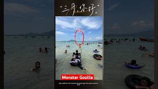 PENAMPAKAN MONSTER GODZILLA memes funny godzilla [upl. by Nahraf]