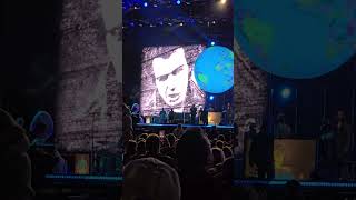 vertical video Liam Gallagher  Live Forever clip Belfast August 2024 [upl. by Follansbee]