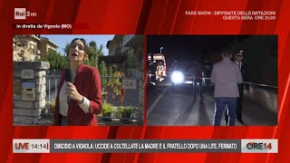 Vignola uccide a coltellate la madre e il fratello dopo una lite  Ore 14 02102023 [upl. by Anilehs]