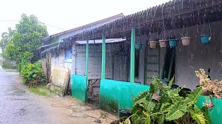 Super heavy rain in Indonesian villages  Borneo Nature [upl. by Hammer]