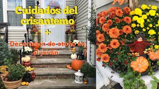 Cómo CUIDAR los CRISANTEMOS  DECORACIÓN de OTOÑO 🍁 [upl. by Duster982]