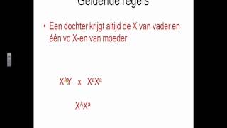 Biologie Uitleg Xchromosomale overerving [upl. by Bud]