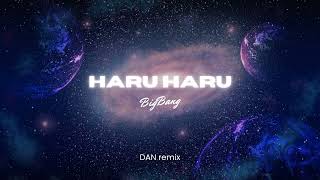 BIGBANG  HARU HARU하루하루  DAN remix [upl. by Eibbil]