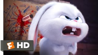 The Secret Life of Pets  You Know Tiny Dog Scene 610  Movieclips [upl. by Nednal]