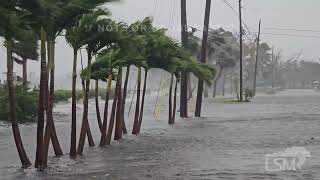 10092024 Venice Florida  Hurricane Milton  Storm Surge Nearing Homes  Strong Winds [upl. by Pena41]