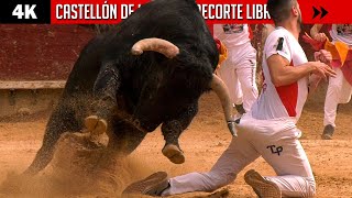 ¡RIESGO BAJO CERO CONCURSO DE RECORTE LIBRE 2022 en CASTELLÓN DE LA PLANA 4K [upl. by Zerelda]