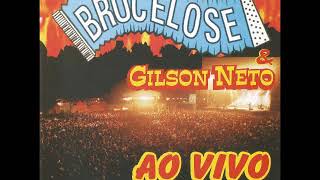 Forró Da Brucelose Vol05 Ao Vivo Cd Duplo 3h De Show 1999 [upl. by Anelhtac]