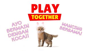 Tanya Dokter Hewan Steril  Neuter Pada Kucing Jantan  Cia Cat Diary  Ep 43 [upl. by Nnylyma]